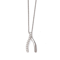 N0062 - Wishbone Pendant with Chain